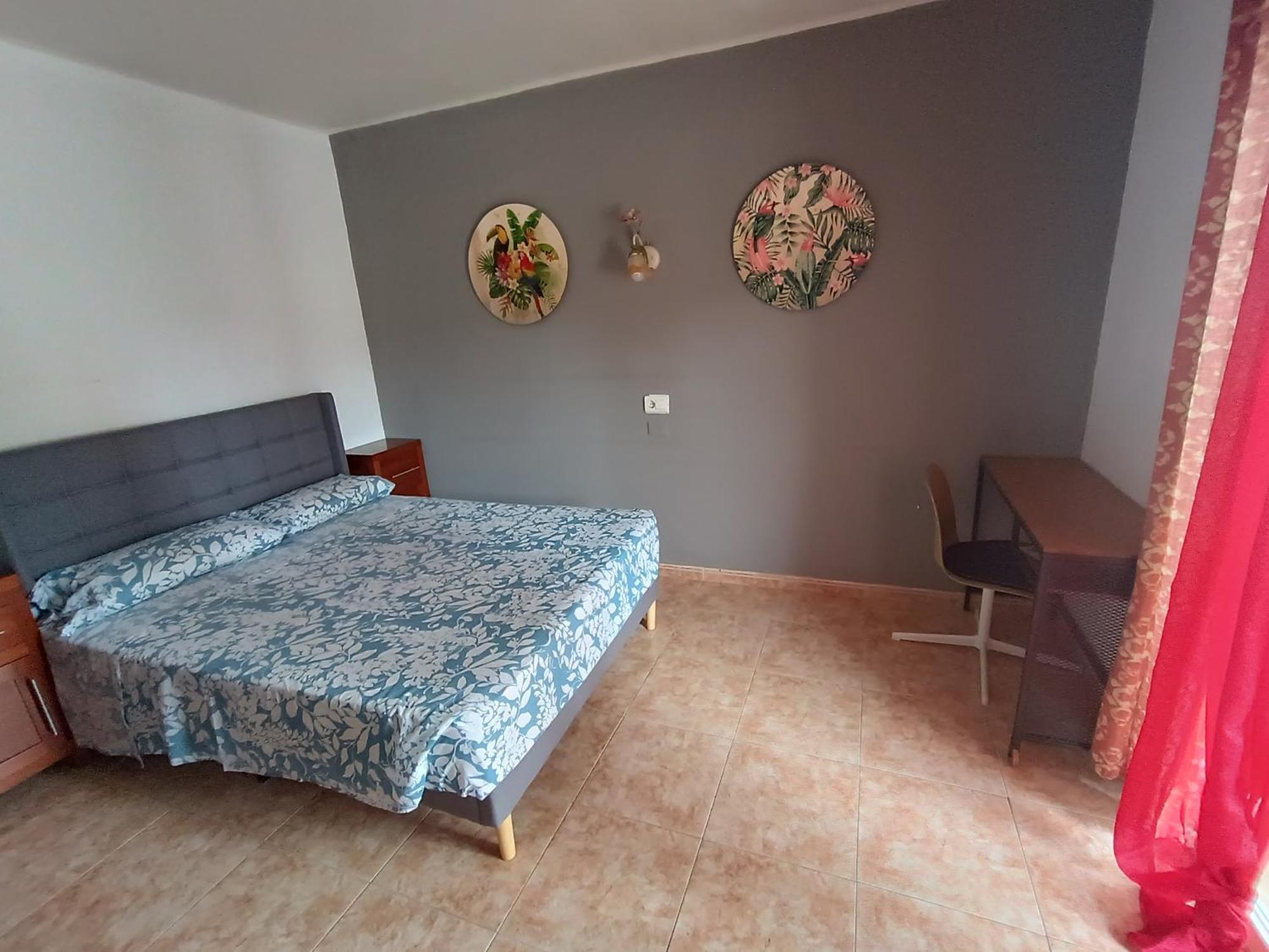 Hostal Belgica Palmanova Rum bild