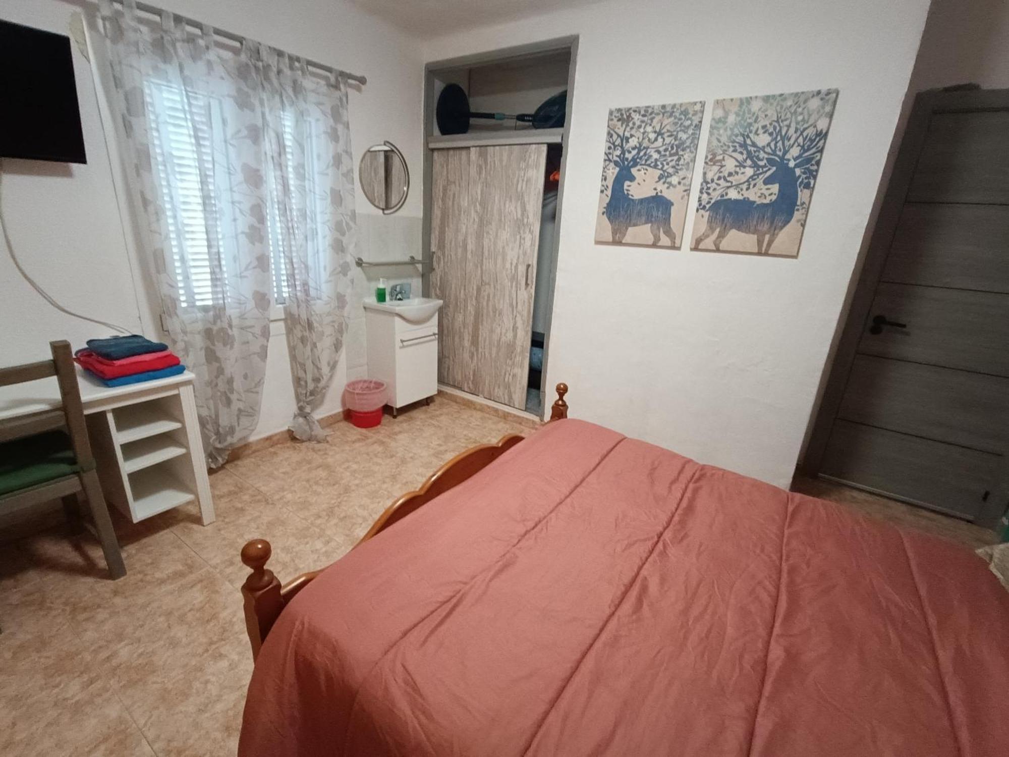 Hostal Belgica Palmanova Rum bild
